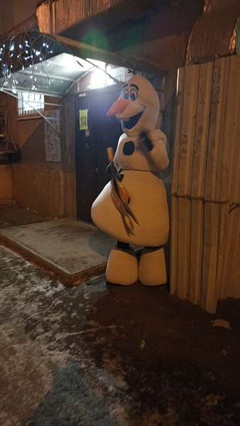 Начались предновогодние праздники